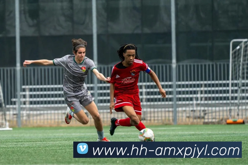 App Interface Preview